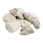 Камень Нефрит окатыш (фракция 60-150мм) (ведро 10 кг)