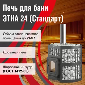 Чугунная печь для бани ЭТНА 24 (ДТ-4С) Стандарт б/в
